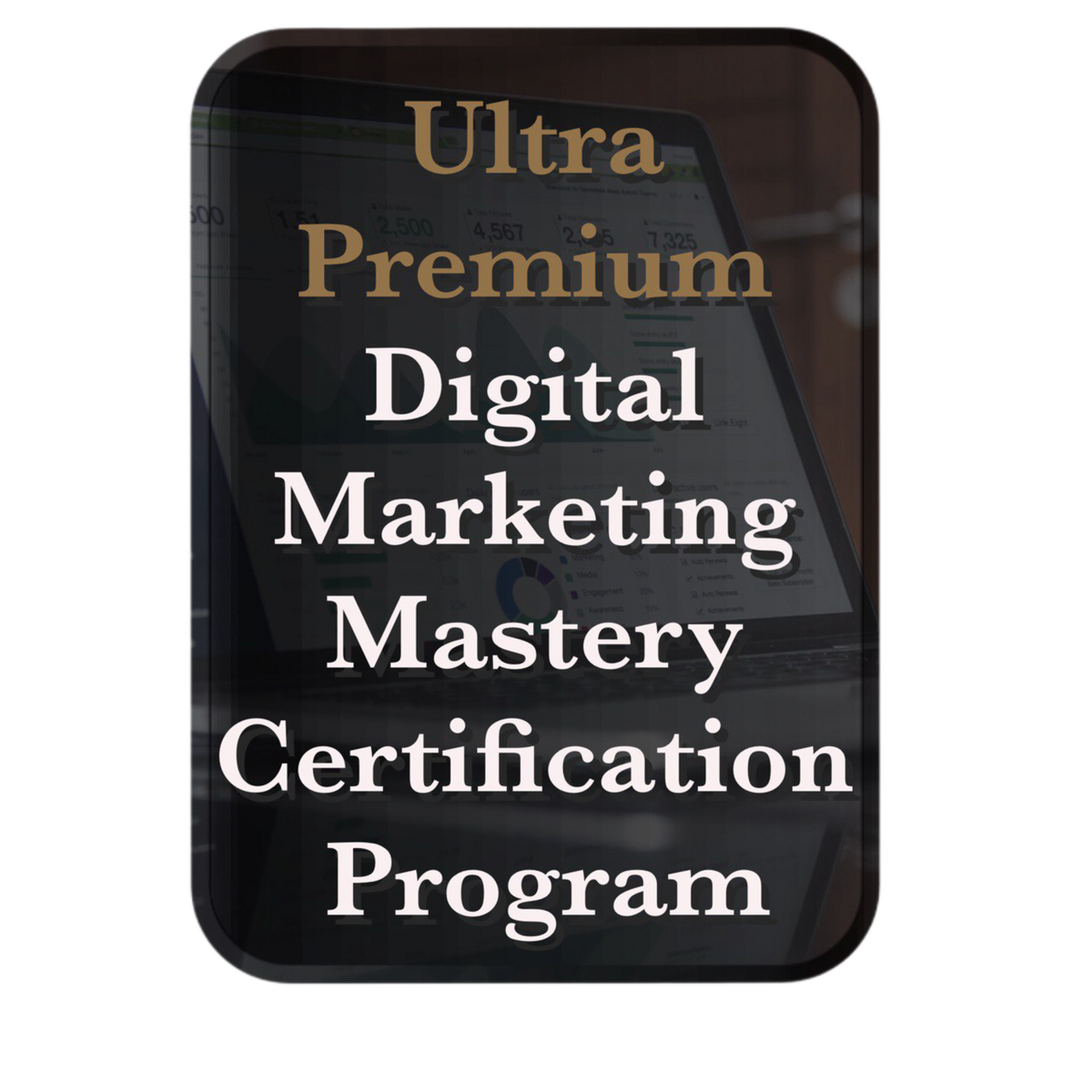 Ultra Premium Digital Marketing Mastery Certification Program 